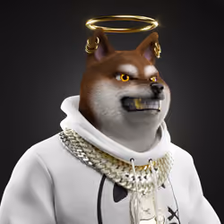 Shiba Pinnacle #65