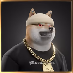 Shiba #5504