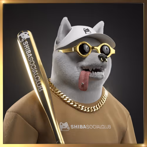 Shibasocialclubnewera