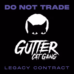 Gutter Cat #284