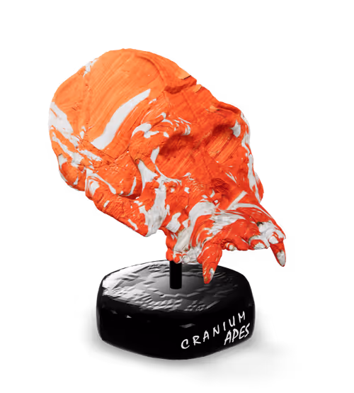 Item #68 Media