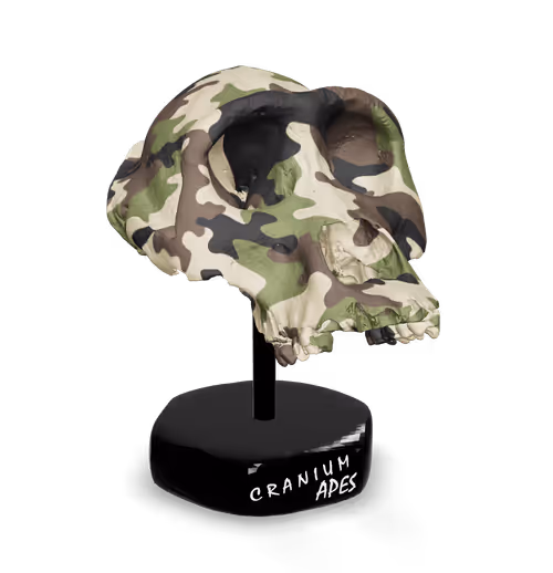 Item #33 Media