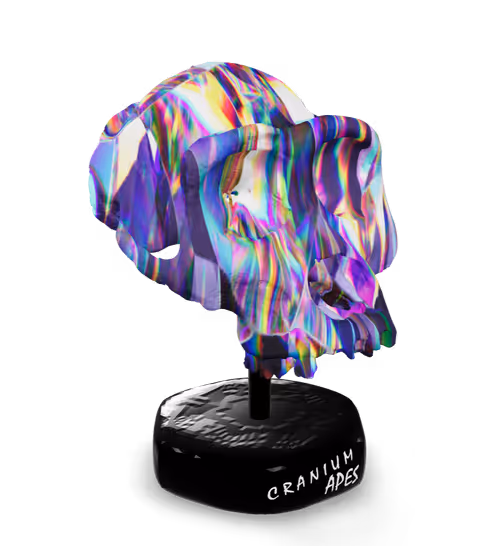 Item #63 Media