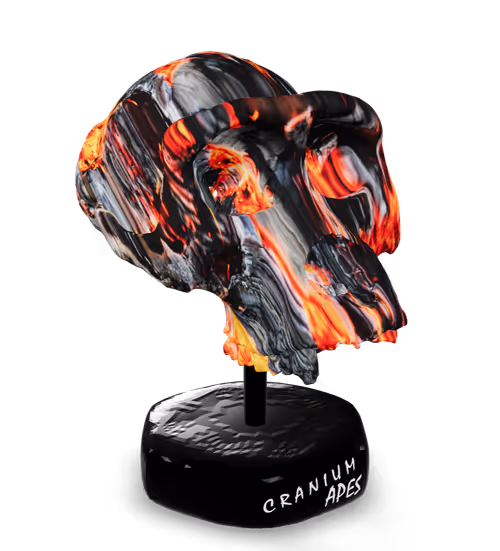 Item #58 Media