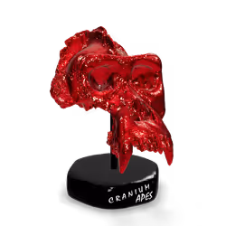 CRANIUM APE #33