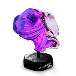 CRANIUM APE #63