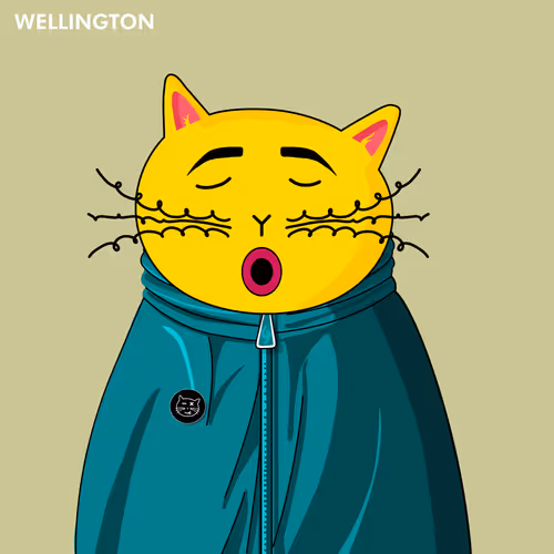 Bigfatcatsnft