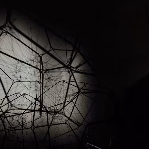 SPIDER/WEB LOST SECRET