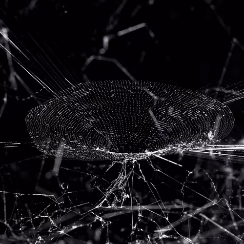 SPIDER/WEB TRANSMISS10N