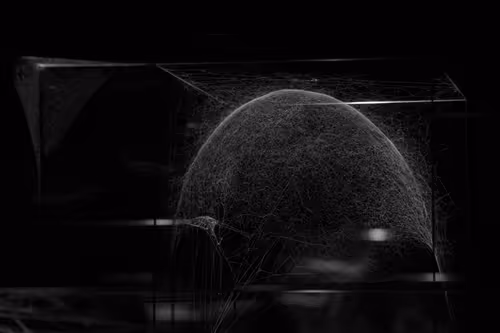 Item #15 Media
