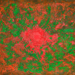 Burning Embers