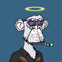 Moonbaycs#243