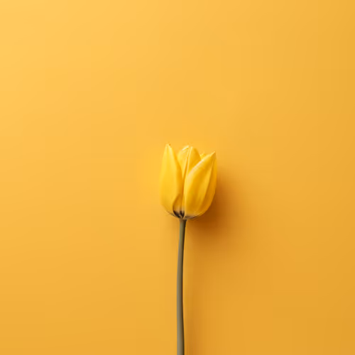 Minimalism in details