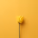 Minimalism in details