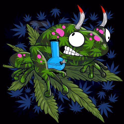 Collie Buddz Twisted Tree Frogs Massive