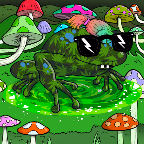 Collie Buddz Twisted Tree Frogs Massive