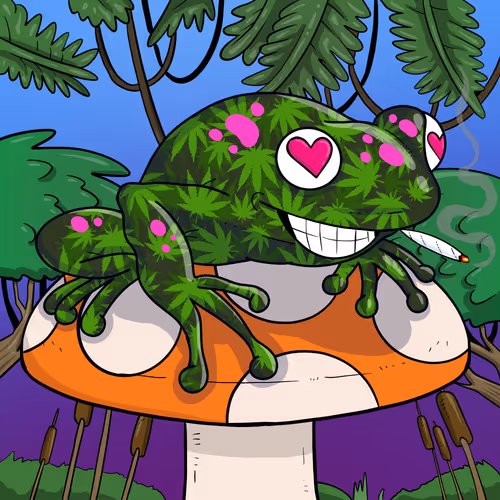Collie Buddz Twisted Tree Frogs Massive
