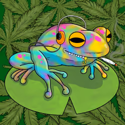 Collie Buddz Twisted Tree Frogs Massive #1319