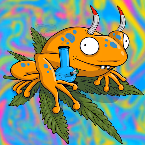 Collie Buddz Twisted Tree Frogs Massive