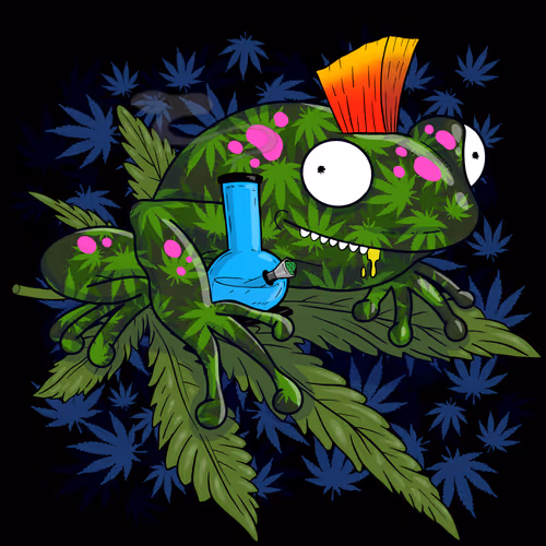 Collie Buddz Twisted Tree Frogs Massive #12