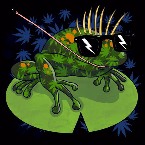 Collie Buddz Twisted Tree Frogs Massive #617