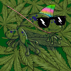 Collie Buddz Twisted Tree Frogs Massive #10
