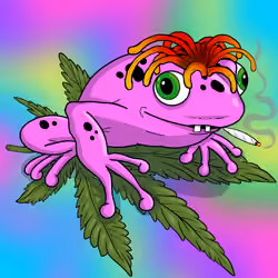 Collie Buddz Twisted Tree Frogs Massive #605