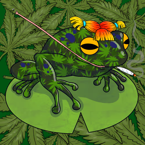 Collie Buddz Twisted Tree Frogs Massive