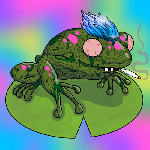 Collie Buddz Twisted Tree Frogs Massive