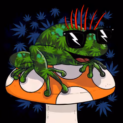 Collie Buddz Twisted Tree Frogs Massive #1086
