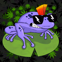Collie Buddz Twisted Tree Frogs Massive #841
