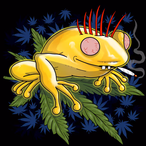 Collie Buddz Twisted Tree Frogs Massive