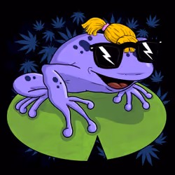 Collie Buddz Twisted Tree Frogs Massive #7