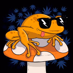 Collie Buddz Twisted Tree Frogs Massive #473