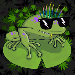 Collie Buddz Twisted Tree Frogs Massive #1059