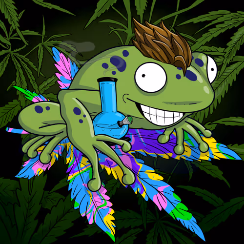 Collie Buddz Twisted Tree Frogs Massive