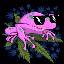 Collie Buddz Twisted Tree Frogs Massive #1363