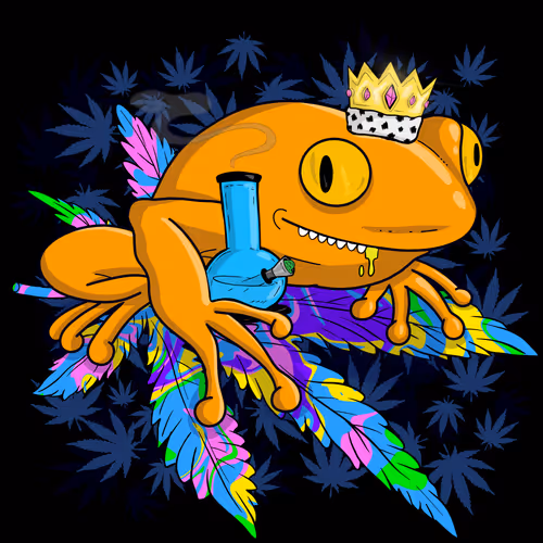 Collie Buddz Twisted Tree Frogs Massive