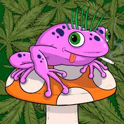 Collie Buddz Twisted Tree Frogs Massive #827