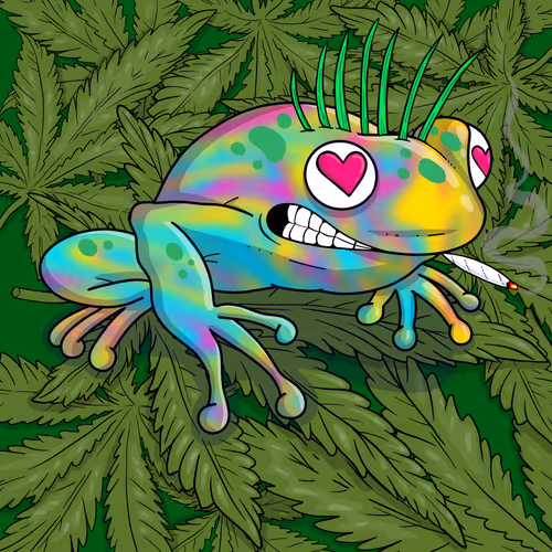 Collie Buddz Twisted Tree Frogs Massive