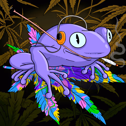 Collie Buddz Twisted Tree Frogs Massive