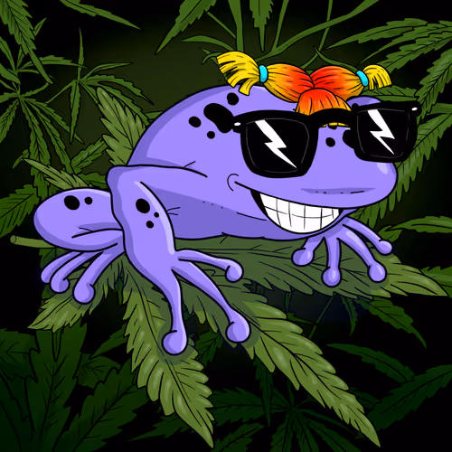 Collie Buddz Twisted Tree Frogs Massive