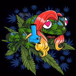 Collie Buddz Twisted Tree Frogs Massive #266