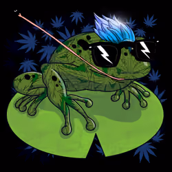 Collie Buddz Twisted Tree Frogs Massive #1037