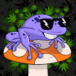 Collie Buddz Twisted Tree Frogs Massive #435