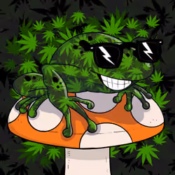 Collie Buddz Twisted Tree Frogs Massive #267
