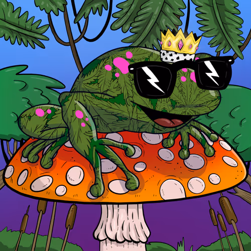 Collie Buddz Twisted Tree Frogs Massive