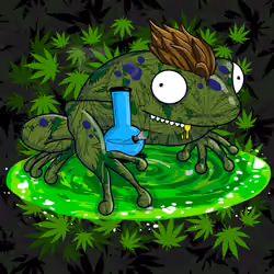 Collie Buddz Twisted Tree Frogs Massive #213