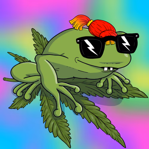 Collie Buddz Twisted Tree Frogs Massive
