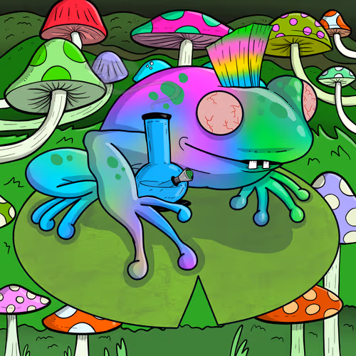Collie Buddz Twisted Tree Frogs Massive